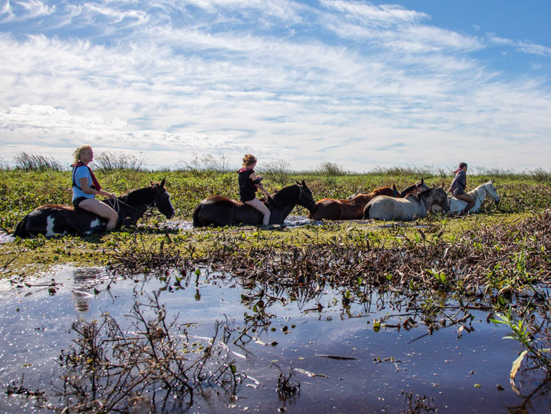 teaser_wanderreiten-um-die-welt