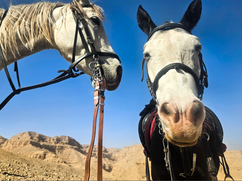 wanderreiten-um-die-welt_kontakt Wanderreiten um die Welt - Kontakt